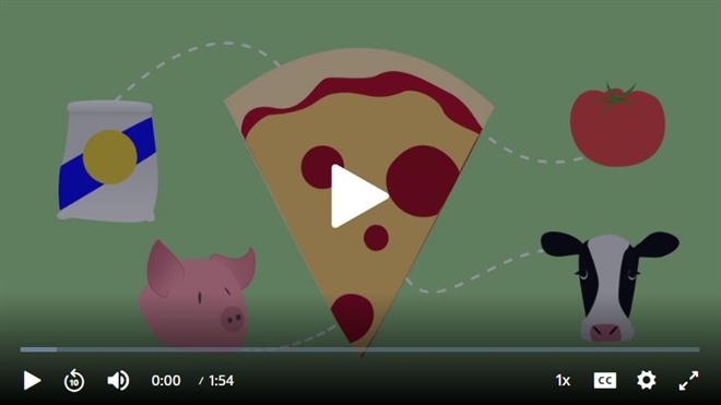 screenshot of Food Waste video - pizza, flour, tomato, cow, pig