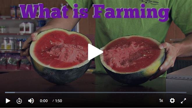 What is Farming? screenshot of video
