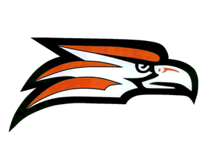 Falcons mascot 