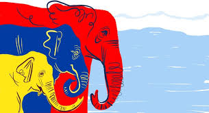image a three elephants guiding each other image a three elephants guiding each other