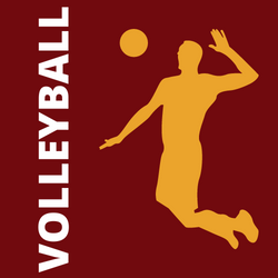 VOLLEYBALL