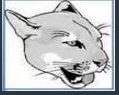  Cougar