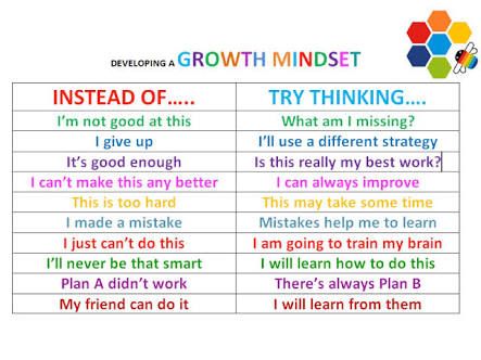 Developing A Growth Mindset