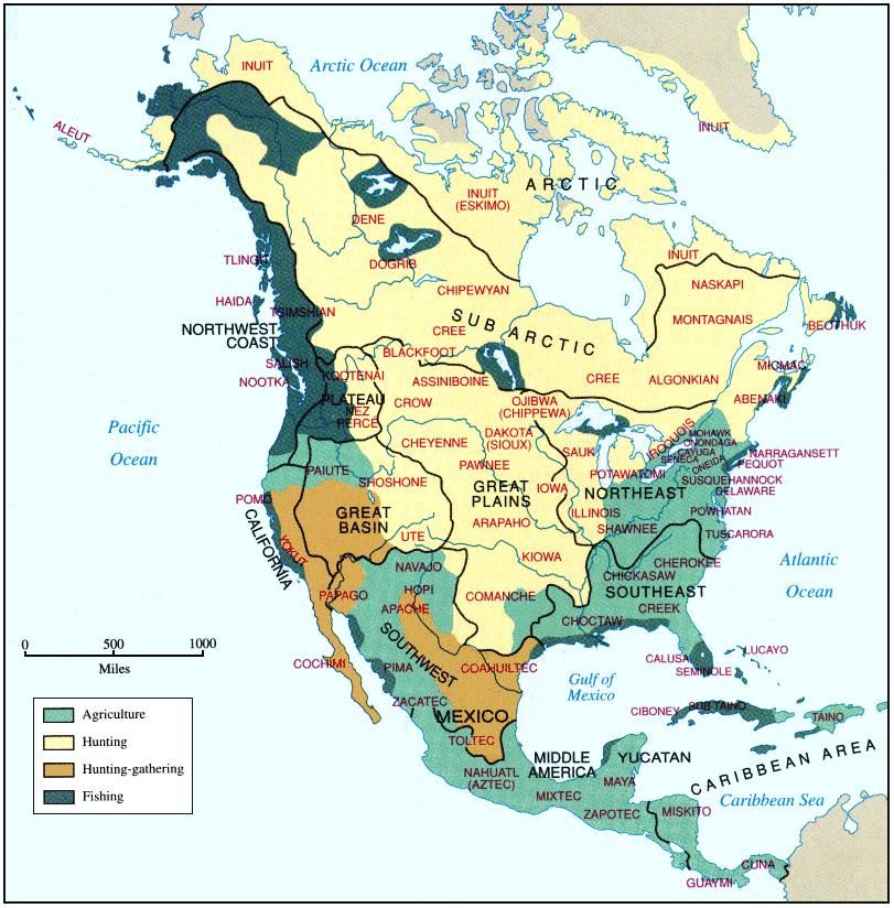 Indigenous Populations Indigenous Populations
