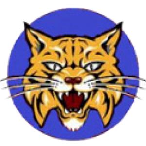 bobcatmascot 
