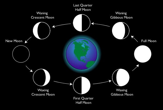 Moon Phases