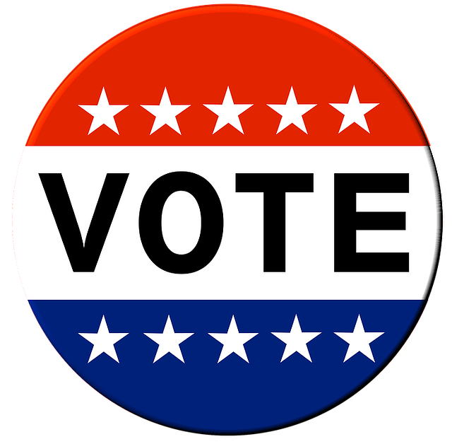  vote