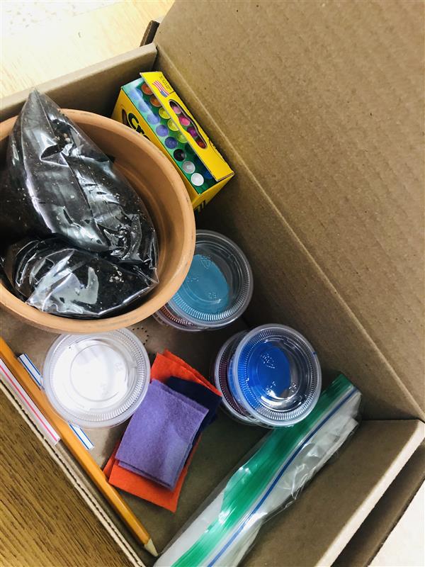 Craft kit incluidng paints, brushes and flower pot