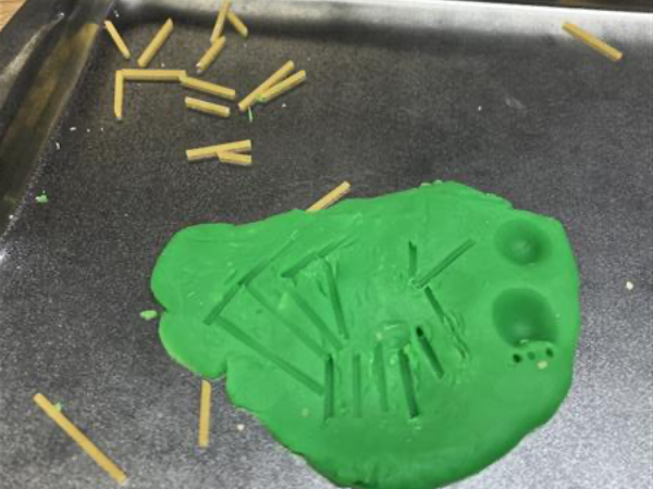 Fossil model made with Play-doh and pasta